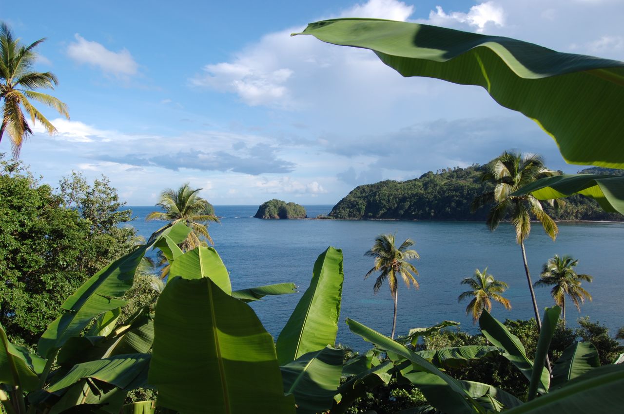 <strong>4. Dominica: </strong>When an island is home to a "champagne" reef, you know it's special. <em>Photo courtesy Ken Bosma/Flickr/Creative Commons</em>