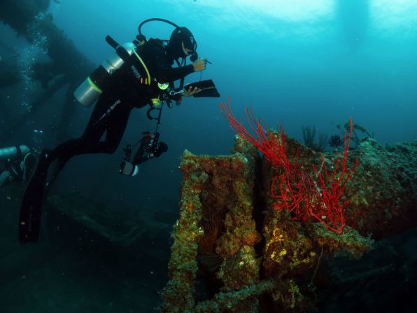 Abdullah explores the Oil Rig Wreck, which was decommissioned and intentionally sunk in 1988. The oil rig comprises nine structures over 100 square meters, creating a home for  barracudas.
