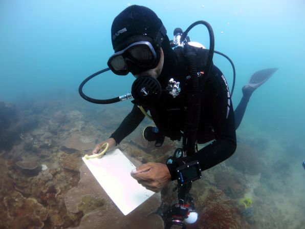Malaysian artist Anuar Abdullah has teamed up with Poni Divers to sketch Brunei's shipwrecks. Here, he sketches Pelong East -- a beautiful rock formation home to eels, clams and coral. 