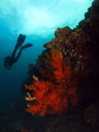 Home to an underwater cliff, this popular Brunei dive site is a colorful reef with good visibility. 