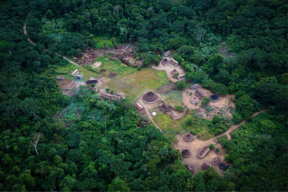 Deep inside the Amazon exsists a bacteria gold mine belonging to a the Yanomami community.