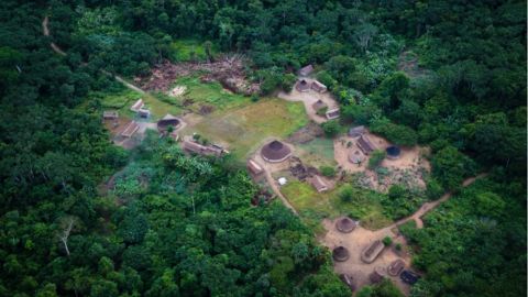 Deep inside the Amazon exsists a bacteria gold mine belonging to a the Yanomami community.