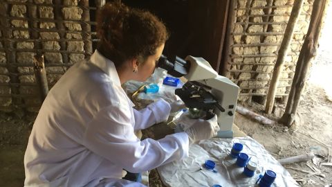 A researcher studies the gut bacteria of an indigenous community in the Venezuelan Amazon.
