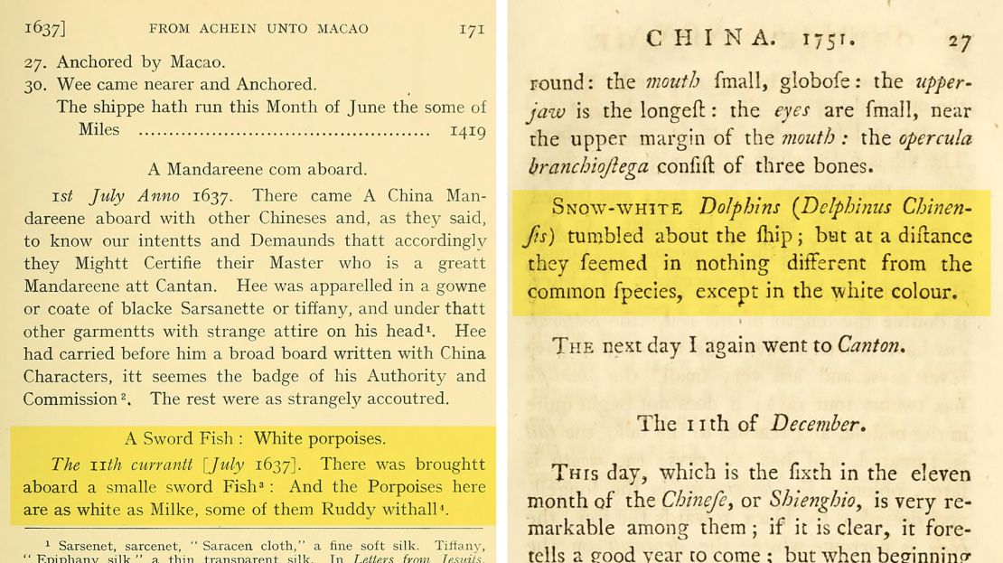 European explorers Peter Mundy and Pehr Osbeck were among the first to record sitings of the Chinese white dolphin.