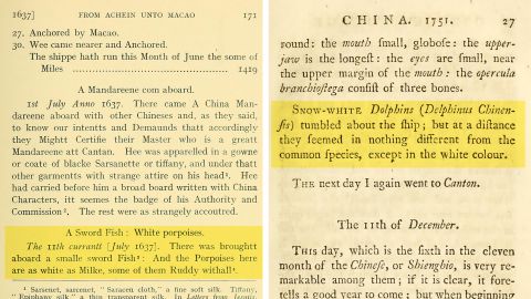 European explorers Peter Mundy and Pehr Osbeck were among the first to record sitings of the Chinese white dolphin.