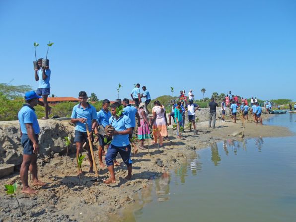 <strong>Naval support: </strong>In the country's north, Seacology and Sudeesa work with Sri Lanka's navy to replant mangroves and spread the word about conservation throughout the surrounding communities