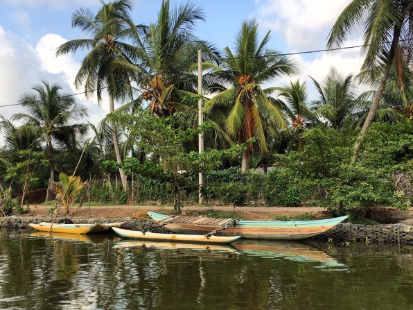 <strong>Dutch Canal: </strong>Visitors wanting to experience Sri Lanka's Mangroves can start their journey in Negombo, roughly 20 miles north of Colombo. A 90-minute tour of the area's wetlands begins in the Dutch Canal -- a long, narrow waterway linking Negombo and Colombo. 