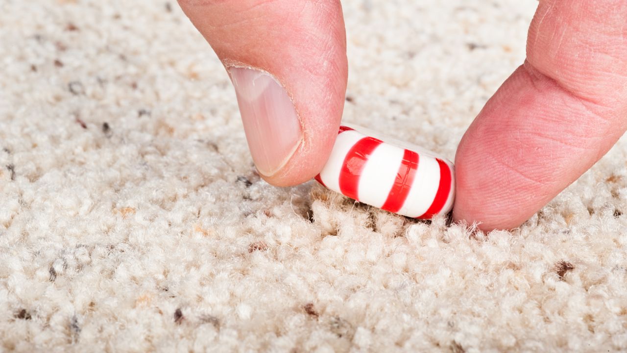 The five-second rule is only partly true. Two studies found that the longer a piece of food stayed on the floor, the more bacteria it would pick up. But it depends on the kind of bacteria, the length of time and the floor surface.