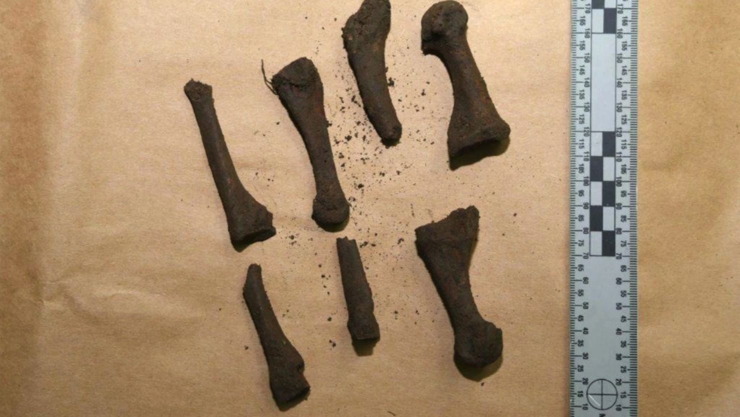 The bones could be from the Hopewell or the Delaware tribes, experts told CNN affiliate WJW-TV.