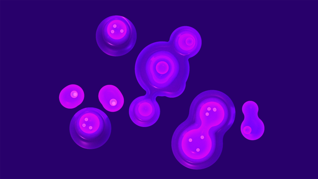 Colorscope_Purple_cover_lifeformsmore-1600px