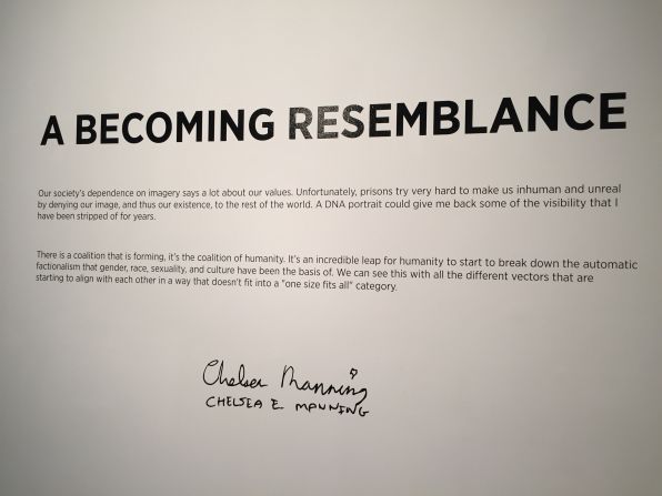 "A Becoming Resemblance" runs through Sept. 5, 2017 at New York's Fridman Gallery.