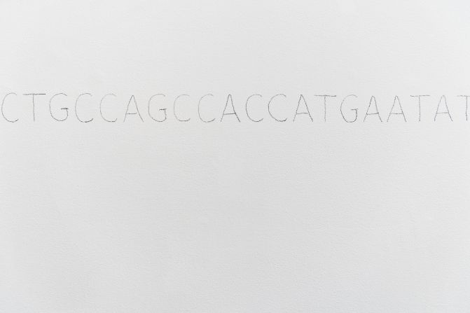 On one wall was this sequence of letters (G, A, T, C -- the bases of DNA)  representing Manning's mitochondrial DNA sequence.