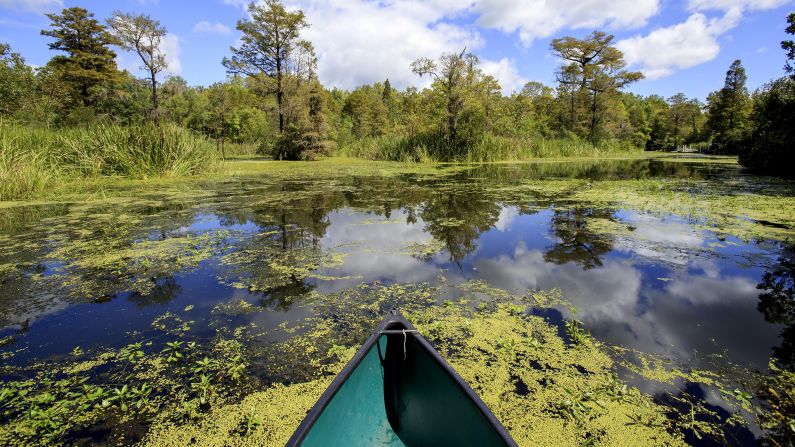 <strong>Lowcountry Stargazers, Charleston, South Carolina: </strong>This group of astronomy lovers will set up their telescopes at Old Santee Canal Park in Moncks Corner (shown here) and Palmetto Islands County Park in Mount Pleasant. <br />