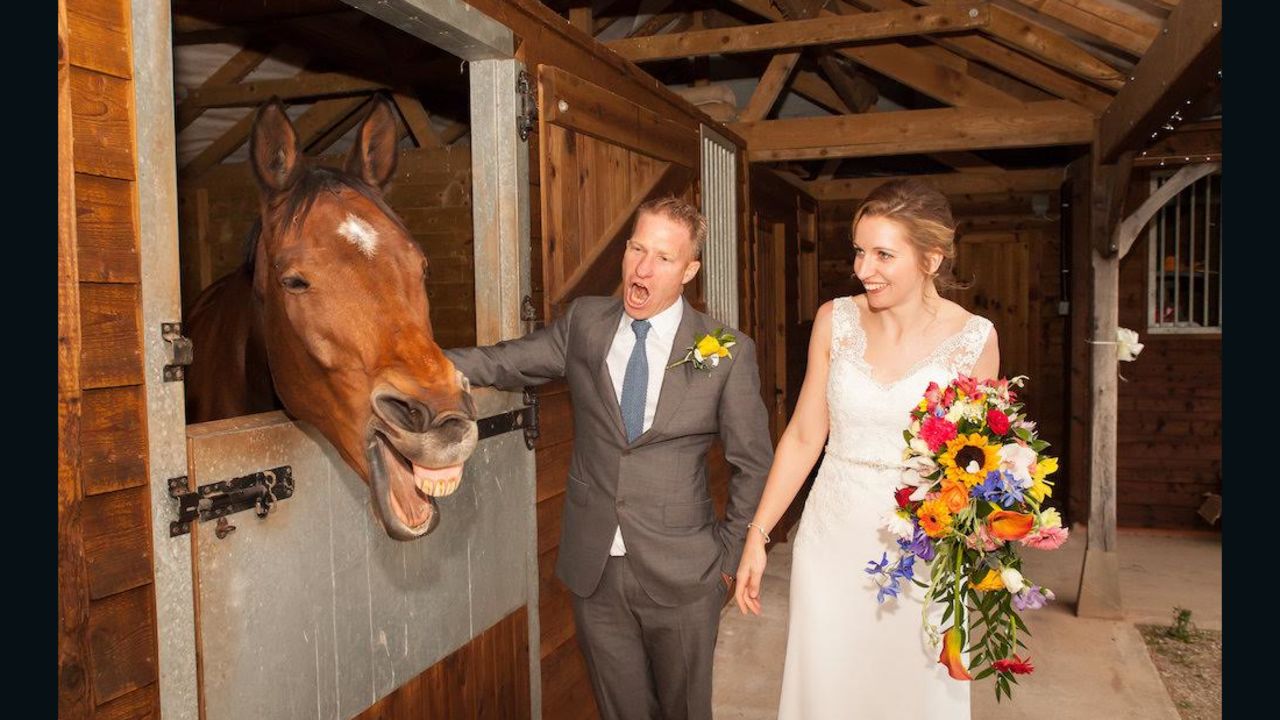 Friendly horse Jack is a welcome wedding guest at Manor Hill.