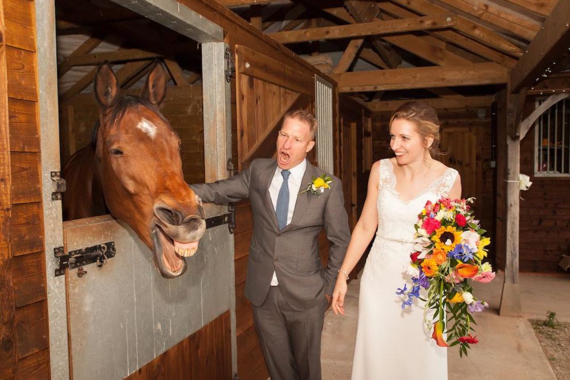 Friendly horse Jack is a welcome wedding guest at Manor Hill.