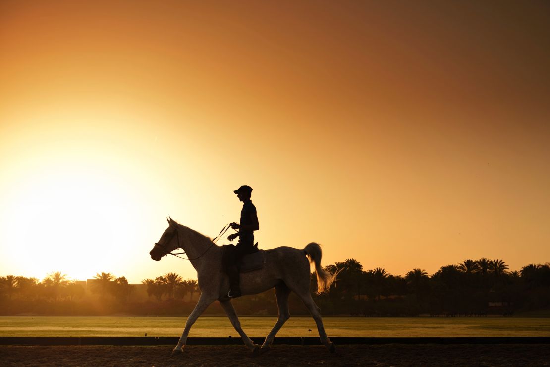 Desert Palm is home to a Spanish-inspired riding school.