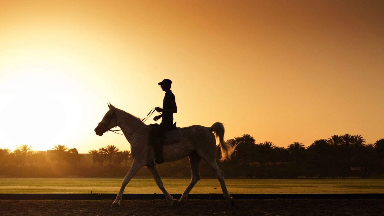 Desert Palm is home to a Spanish-inspired riding school.