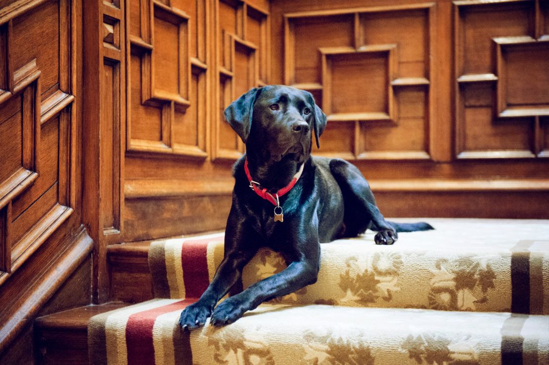 The regal Oliver Beckington has been featured in Tatler and Vanity Fair.