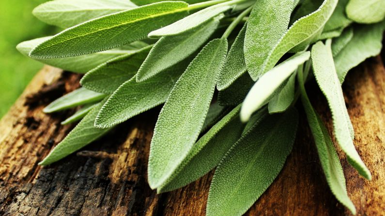 Sage is a potent herb often used in stuffing and butters. Studies have shown that it may be helpful for memory, cholesterol and menopausal symptoms if taken by mouth. In one <a href="index.php?page=&url=https%3A%2F%2Fwww.ncbi.nlm.nih.gov%2Fpubmed%2F11799306" target="_blank" target="_blank">study,</a> a mixture of sage and rhubarb on cold sores was nearly as effective as the antiviral medication acyclovir.<br /><br />Evidence is sparse for the use of sage for cancer, asthma and stomach pain. Use in food is considered safe, but supplements are not advised during pregnancy or if you have seizures, high or low blood pressure or a hormone-sensitive cancer such as breast or ovarian cancer.
