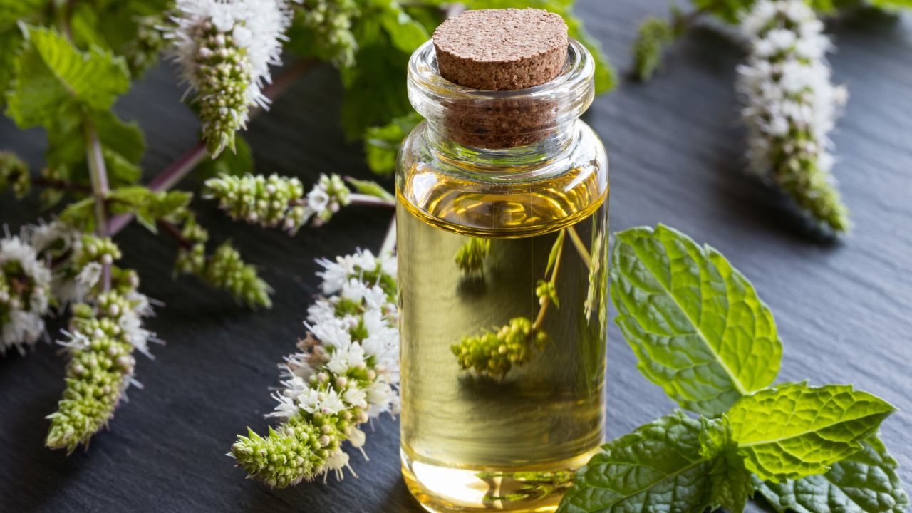 Ancient records from Greece, Rome and Egypt mention the use of mint as a healing herb; today, we often see peppermint used for colds, headaches and digestive issues. <a href="https://nccih.nih.gov/health/peppermintoil" target="_blank" target="_blank">Studies</a> of peppermint oil show that it may improve irritable bowel symptoms when taken in capsules and when applied topically may lessen tension headaches, but there's no evidence that it can help the common cold or other conditions. Be warned: Excessive doses of peppermint oil can be toxic.