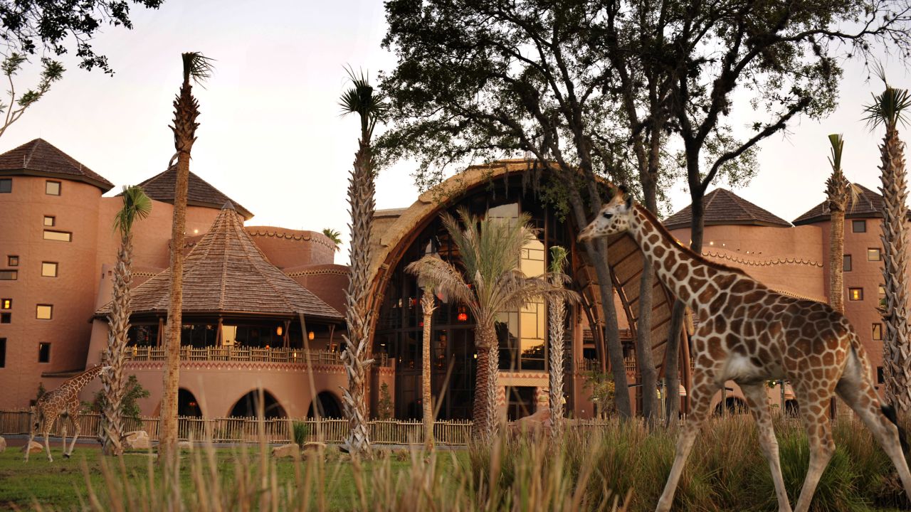 Experience a slice of Africa in Florida.