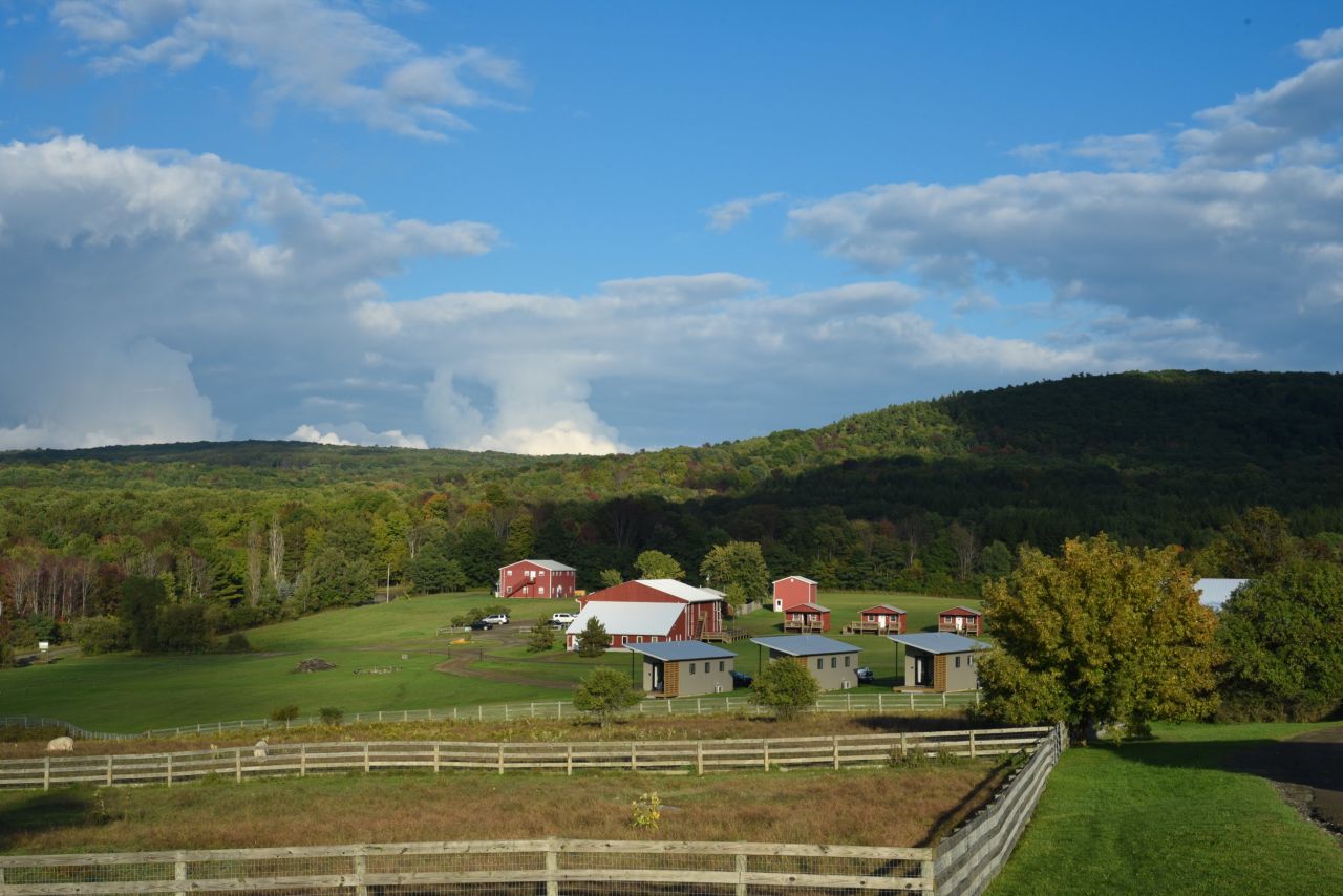 <strong>Farm Sanctuary, New York, USA:</strong> Overnight guests can enjoy tours of the animal sanctuary, plus the fantastic food is all vegan -- out of respect for the animals.
