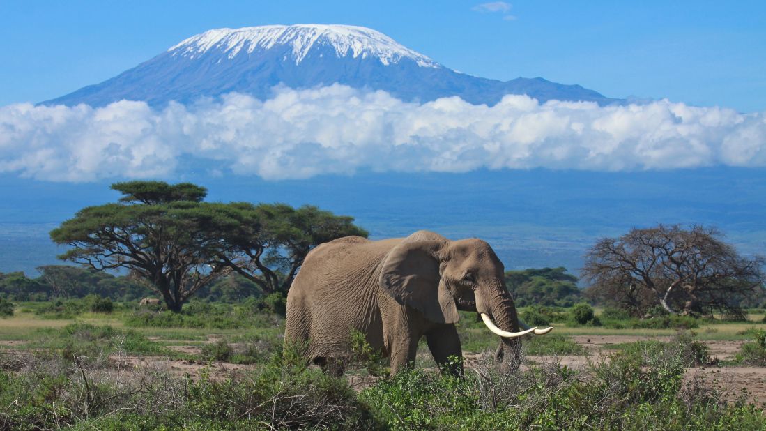 <strong>2. Climb a mountain. </strong>You don't have to go all the way to Tanzania's Kilimanjaro to summit a peak. But you could ... <em>Photo from Shutterstock</em>