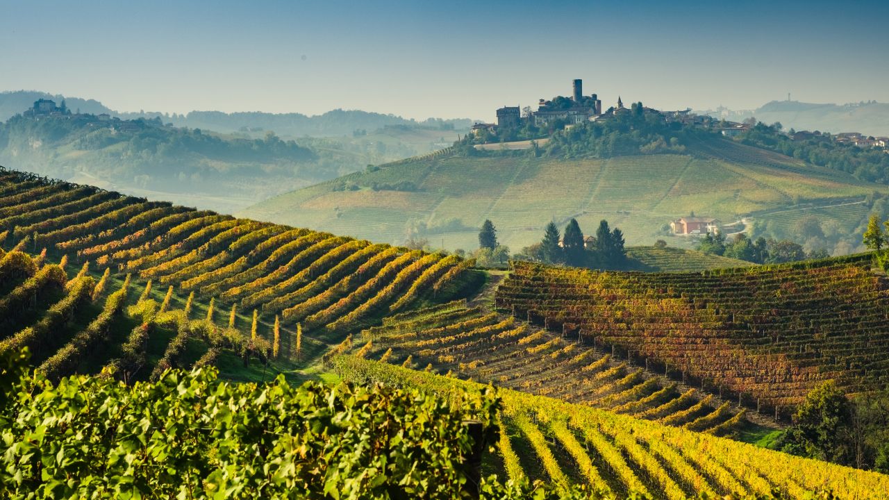 <strong>14. Visit a wine region outside of France or California. </strong>The hills of northern Italy produce excellent wines and magical scenery to boot. <em>Photo from Shutterstock</em>