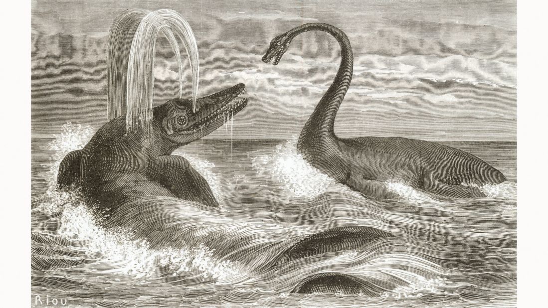 From the very beginning, artists and scientists portrayed ichthyosaurs and plesiosaurs as dire enemies. The reptiles, warring above the waves, became the single most prevalent motif in nineteenth-century paleoart.