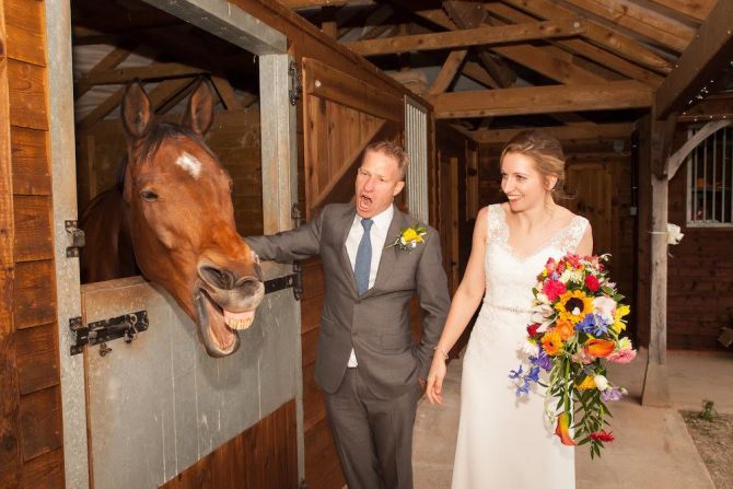 <strong>Manor Hill House, Worcestershire, England:</strong> This traditional English country house hotel is home to Jack the horse. "He actually forms quite a bond with guests," says Ros Hill, events and marketing manager for Manor Hill House. "You see them stop to say goodbye to Jack before they leave." 