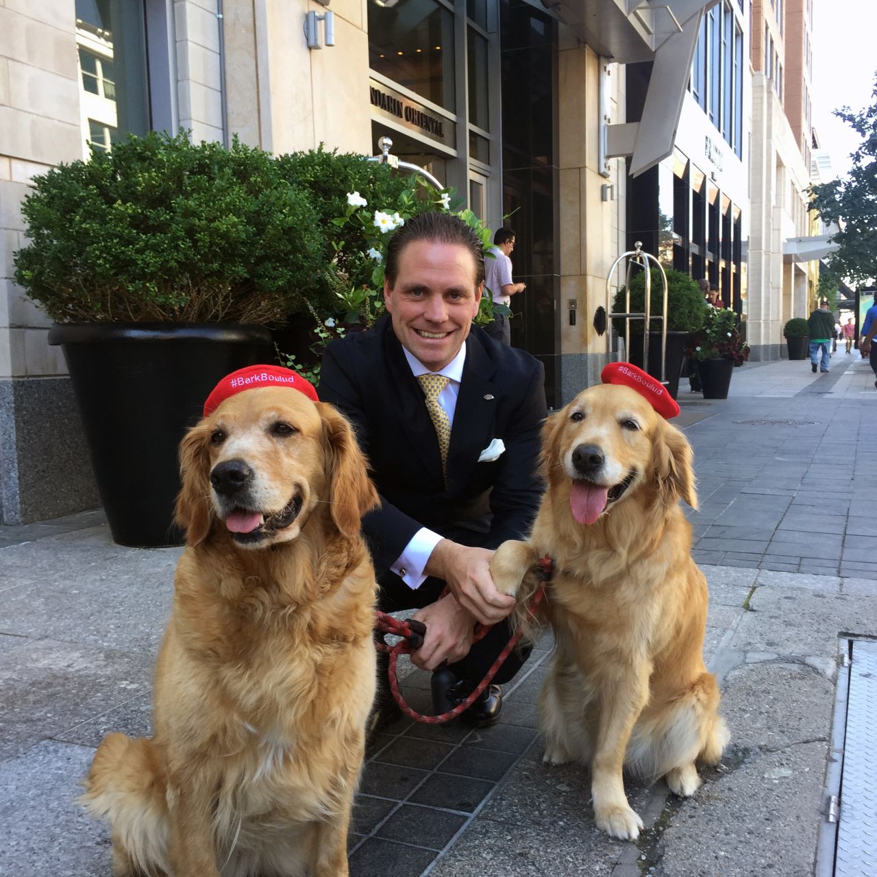 <strong>Mandarin Oriental Boston, Boston, USA:</strong> Boston's branch of the Mandarin Oriental is famed for its two cheerful golden retrievers: Bonnie and Tara. "They provide a warm tail-wagging welcome for all of our guests," says general manager Philipp Knuepfer.