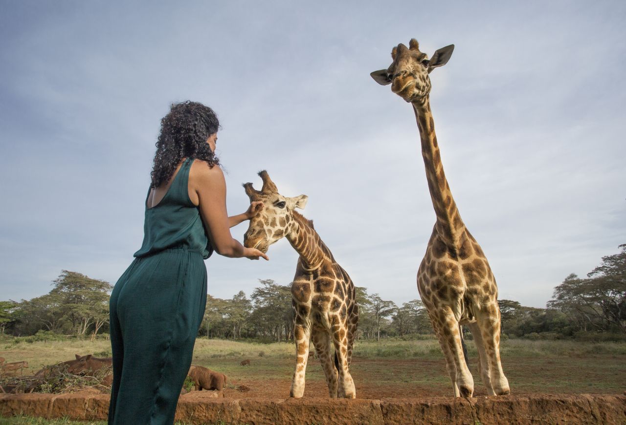 <strong>Giraffe Manor, Nairobi, Kenya:</strong> The Manor also neighbors Nairobi's Giraffe Centre, a tourist spot that offers giraffe feeding sessions.