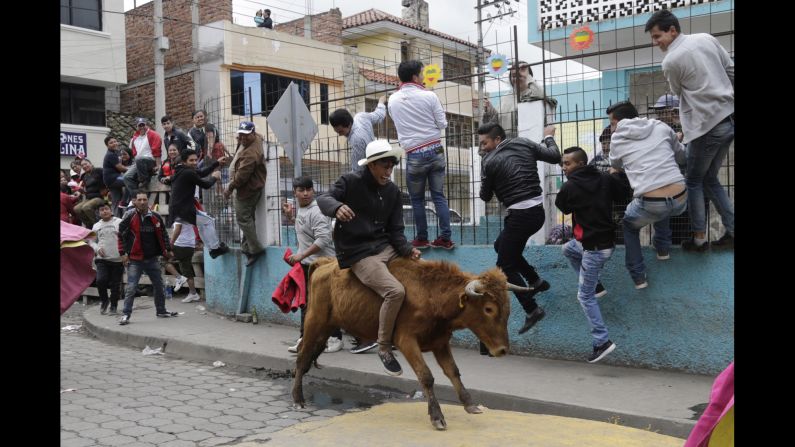 A man rides a bull during a "running of the bulls" event in Pillaro, Ecuador, on Saturday, August 5. The small city set loose about 40 bulls during its annual fair.