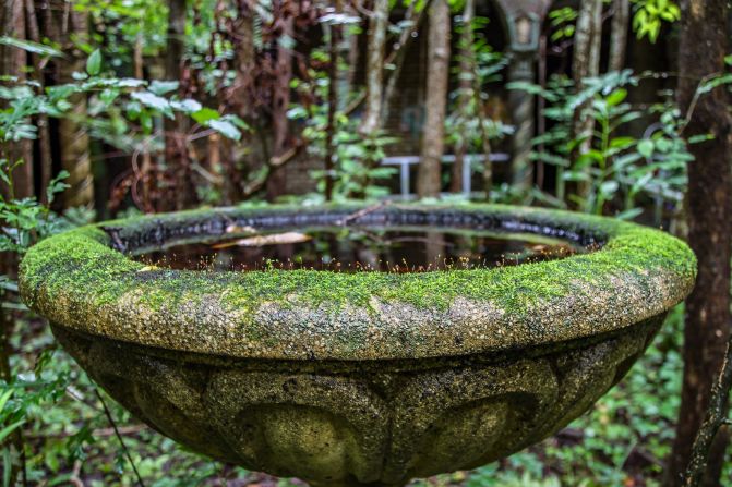 A fountain is covered in moss in an overgrown courtyard at Touro-Shakespeare.