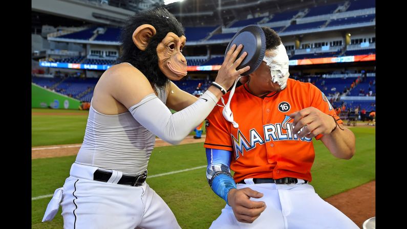 Miami Marlins shortstop Miguel Rojas, wearing a monkey mask, hits Giancarlo Stanton with a shaving-cream pie after their victory over Colorado on Sunday, August 13. Rojas has been doing this after big wins all season.