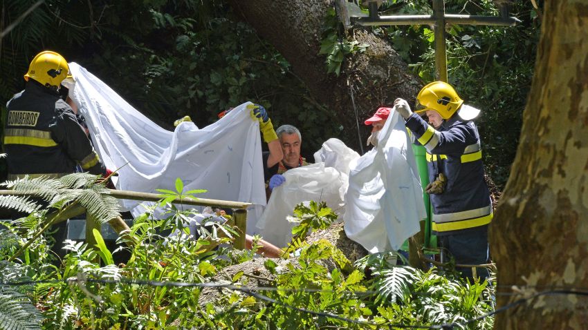 Firefighters work at the area where a tree fell down killing 11 people in Funchal on August 15, 2017.
At least 11 people were crushed to death today when a 200-year-old oak tree fell at a religious festival on the Portuguese island of Madeira, local media reported. / AFP PHOTO / Helder SANTOS        (Photo credit should read HELDER SANTOS/AFP/Getty Images)