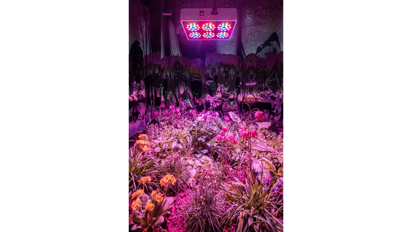 Meg Webster's "Solar Grow Room" is a self -sustaining ecosystem positioned in the gallery's main room. This eclectic assortment of plants -- lettuce, herbs, flowers -- were grown under LED lights powered by solar panels inside the gallery. 