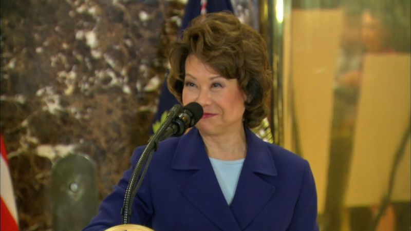 Transportation Secretary Elaine Chao: Trump Wants To Scrap New York ...