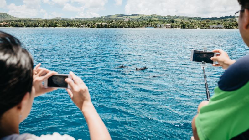 South Korean tourists take pictures as dolphins swim by.