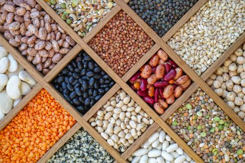 Drying legumes increases their sugar concentration and lowers their water content, making it hard for bacteria and mold to grow on them. Any enzymes that would break them down after harvest are put into suspended animation.
