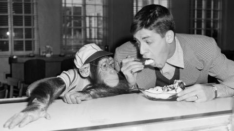 Lewis monkeys around with Pierre, a 5-year-old chimpanzee, in 1950, during Lewis' early Hollywood days.