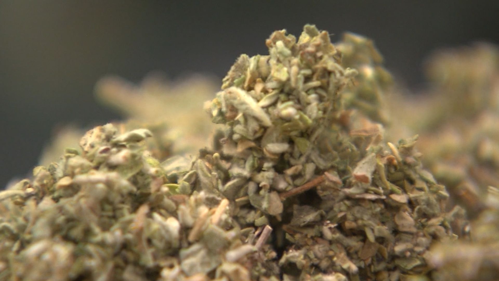 Mass intoxication in New York City was caused by powerful synthetic weed, Science