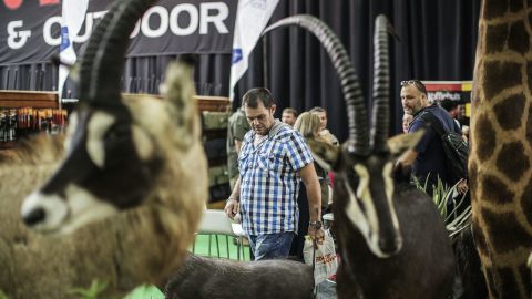 South African hunters have been willing to pay more for rare colored variants of animals such as impala and wildebeest.