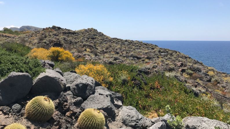 <strong>Vulcano: </strong>The island has a a red-yellow landscape, with round cactuses and dark shores. 