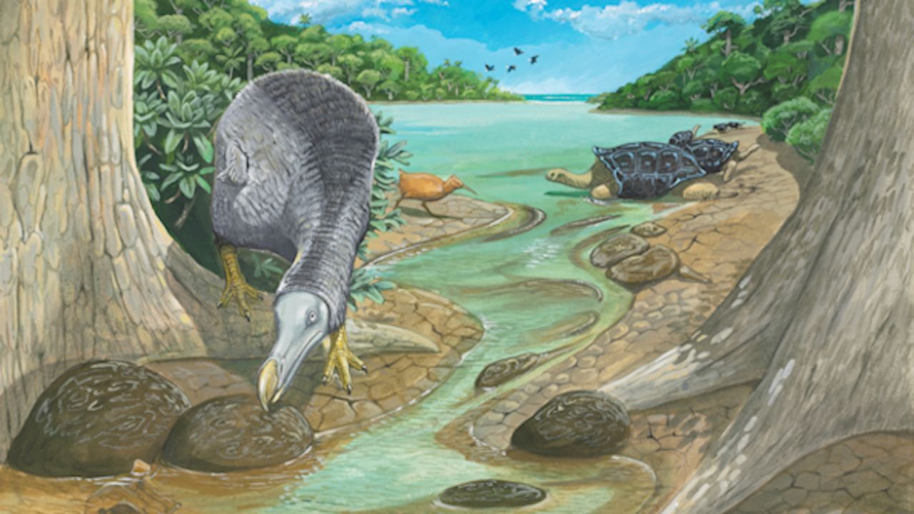 An illustration shows the <a href="http://www.cnn.com/2017/08/24/world/dodo-extinct-new-insight/index.html">dodo</a> on Mauritius near the Mare aux Songes, where many dodo skeletons have been recovered.