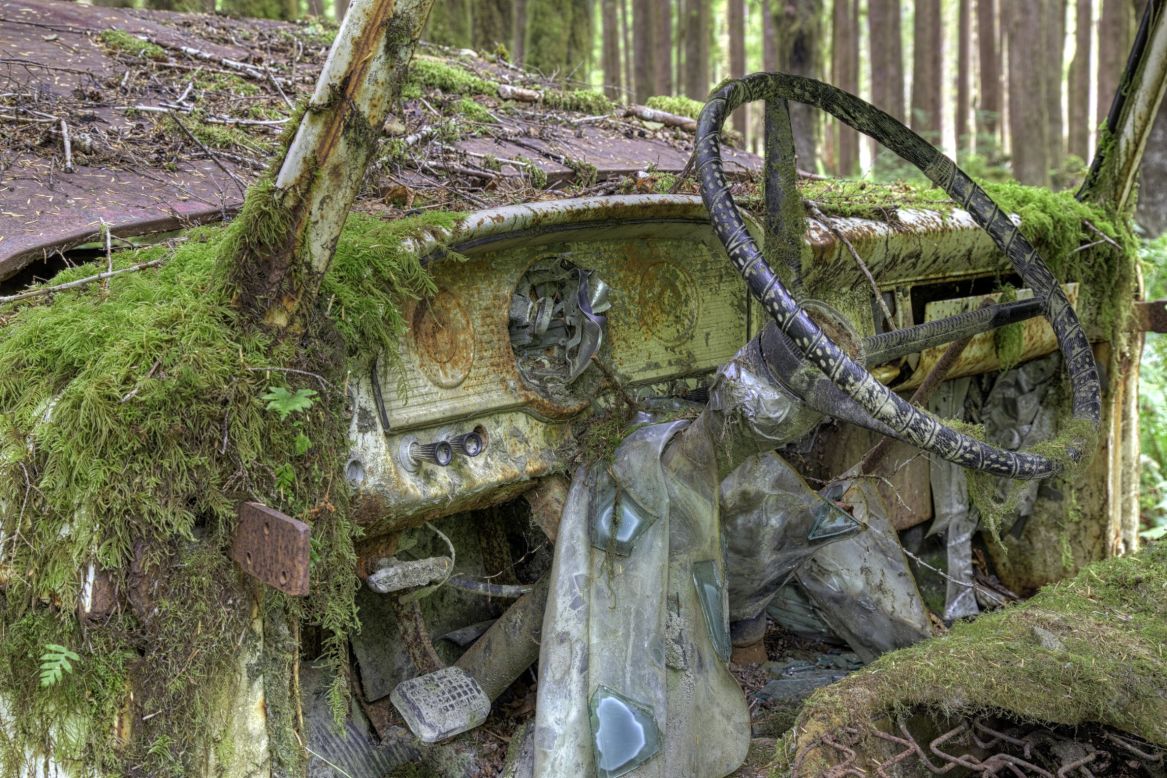 This Ford pick-up truck, found in the lush Olympic National Park in Washington, hasn't been so lucky. 