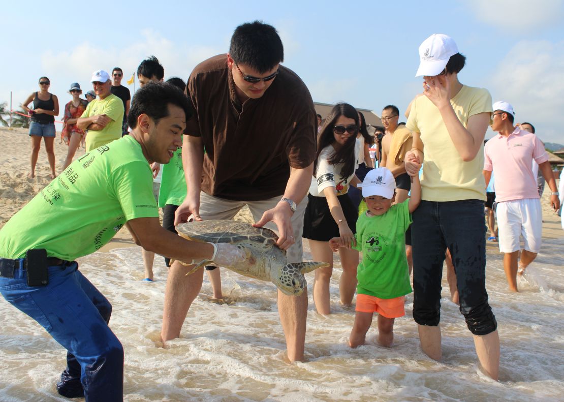 Basketball Hall of Famer Yao Ming and Sea Turtles 911 founder Frederick Yeh release a sea turtle in June 2014 at Sanya, Hainan.