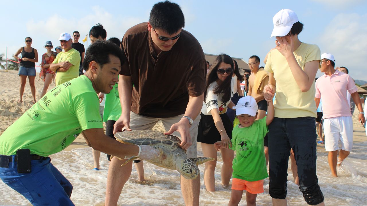Basketball Hall of Famer Yao Ming and Sea Turtles 911 founder Frederick Yeh release a sea turtle in June 2014 at Sanya, Hainan.