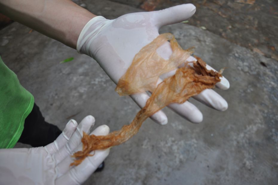 <strong>Foreign objects: </strong>Polluted oceans are also a danger to China's sea turtles. An assistant at Haikou Normal University holds up a piece of plastic passed by one of the turtles under their care.