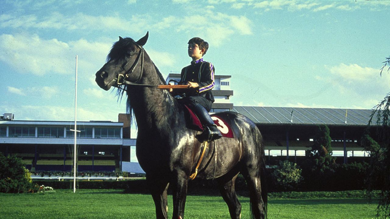 <strong>"The Black Stallion":</strong> Kelly Reno and Cass-Olé star in the 1979 of this classic children's story. <strong>(Amazon Prime, Hulu)  </strong>